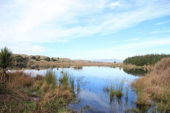 Bottle Lake Forest Park